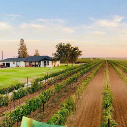 Farmhouse Vineyards