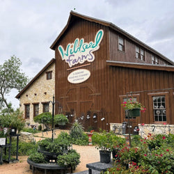 Wildseed Vineyards