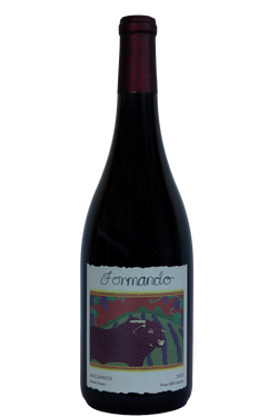 Formando Vineyards Aglianico