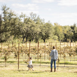 Formando Vineyards