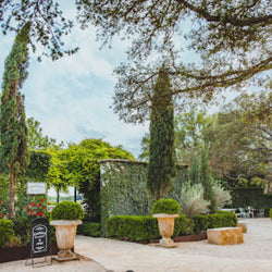 Signor Vineyards