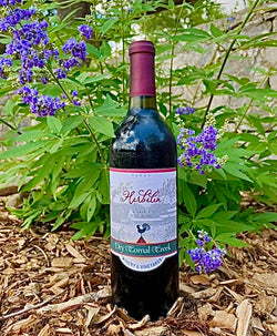 Dry Comal Creek Vineyards 2019