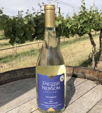 English Newsom Picardan 2019