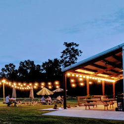 Blue Epiphany Vineyard