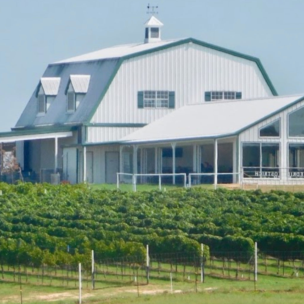 Blue Ostrich Winery and Vineyard