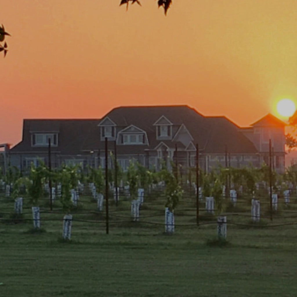 Edge of the Lake Vineyard