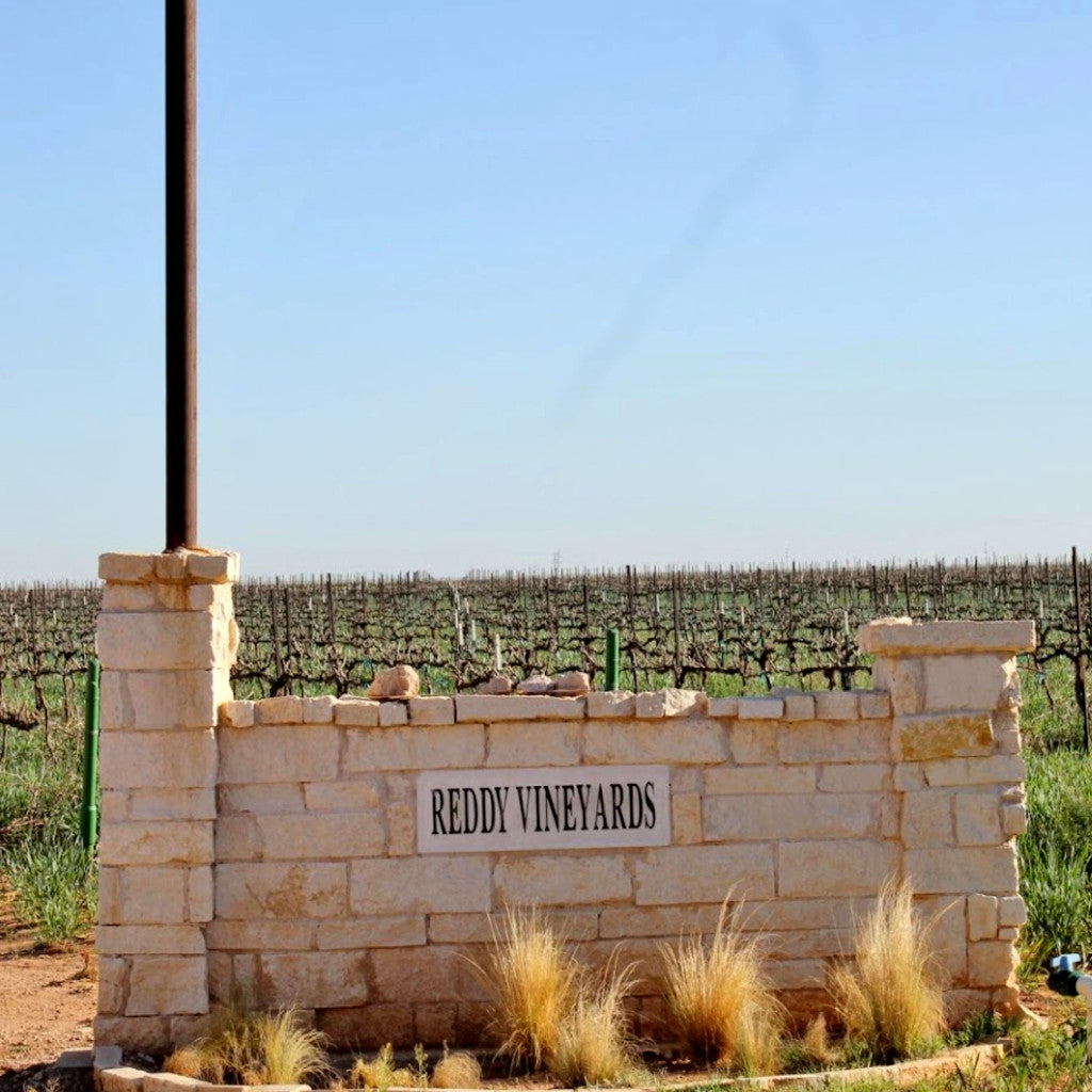 Reddy Vineyards