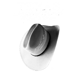 Texas South Wind Vineyard and Winery