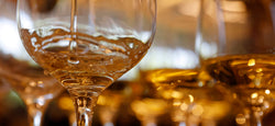 TEXSOM 2026