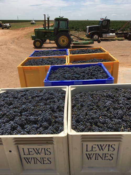 Lewis Wines