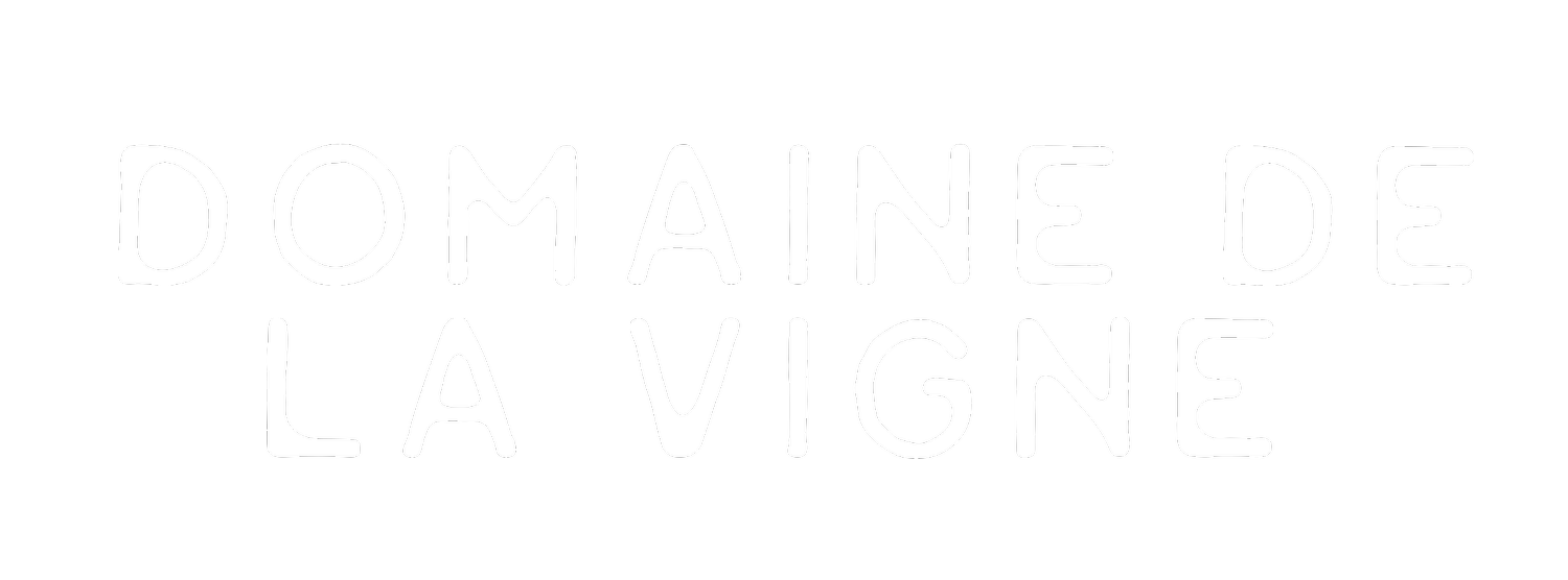 Domaine De La Vigne