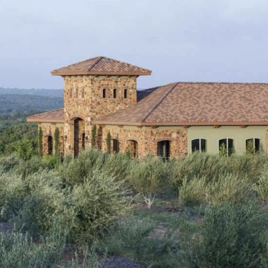Gambini Family Estate