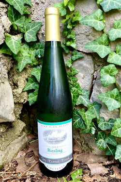 Dry Comal Creek Vineyards Riesling 2023
