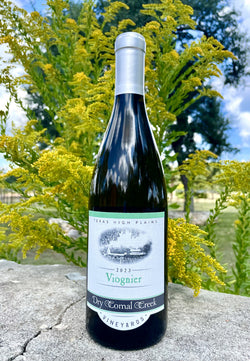 Dry Comal Creek Vineyards Viognier 2023