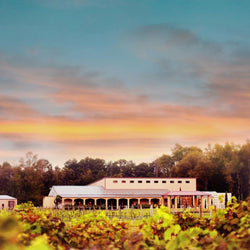 Los Pinos Ranch Vineyards