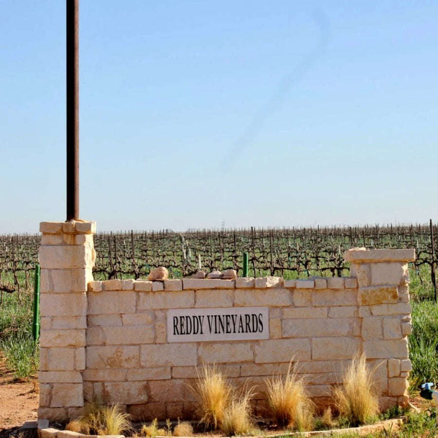 Reddy Vineyards