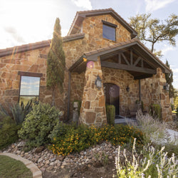 Turtle Creek Olive and Vines