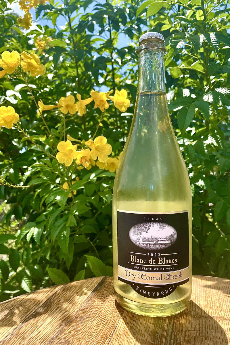 Dry Comal Creek Vineyards Blanc de Blancs 2023