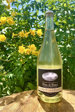 Dry Comal Creek Vineyards Blanc de Blancs Sparkling 2023